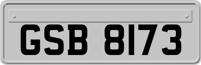 GSB8173