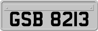 GSB8213