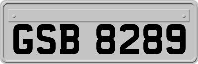 GSB8289