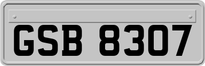 GSB8307