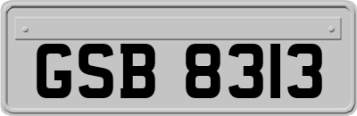 GSB8313