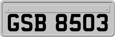 GSB8503