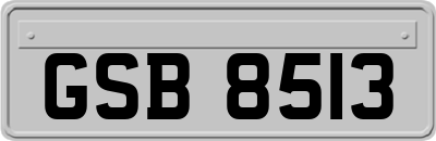 GSB8513