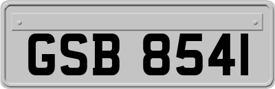 GSB8541