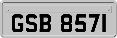 GSB8571