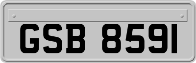 GSB8591