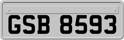 GSB8593