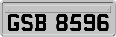 GSB8596