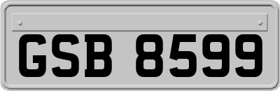 GSB8599