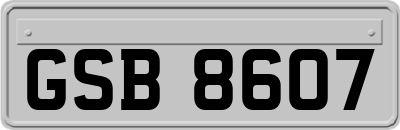 GSB8607