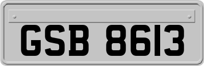 GSB8613
