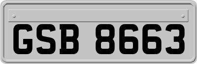 GSB8663