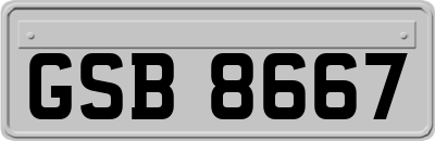 GSB8667