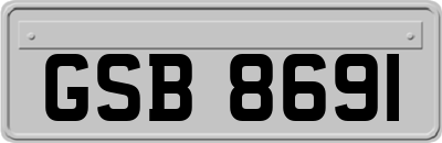 GSB8691
