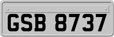 GSB8737