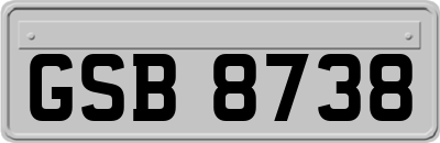 GSB8738
