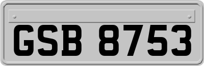 GSB8753