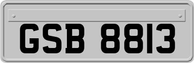 GSB8813