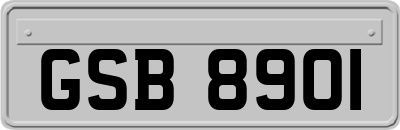 GSB8901