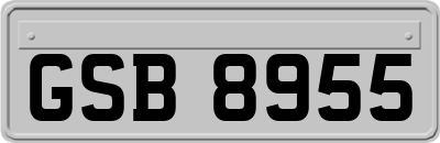 GSB8955