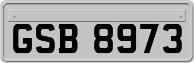 GSB8973