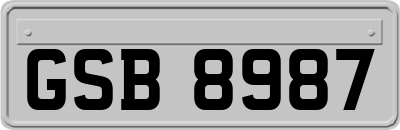 GSB8987