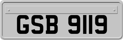 GSB9119