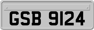 GSB9124