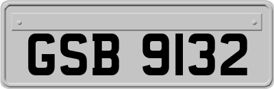 GSB9132