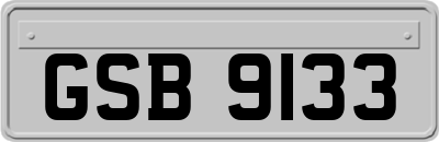 GSB9133