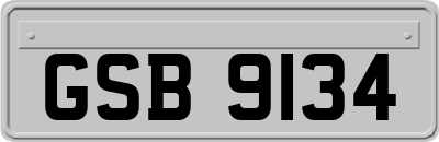 GSB9134