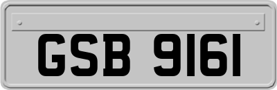 GSB9161