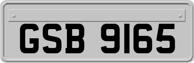 GSB9165