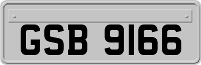 GSB9166