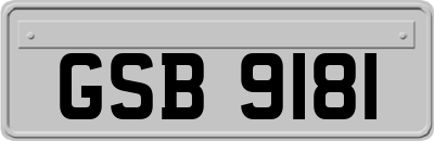 GSB9181