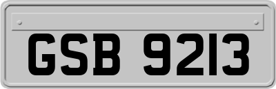 GSB9213