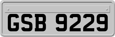 GSB9229
