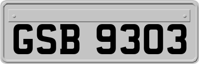 GSB9303