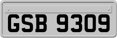 GSB9309