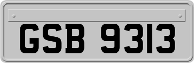 GSB9313