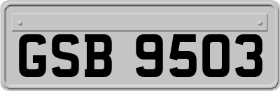 GSB9503
