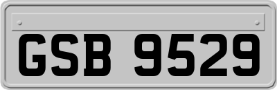 GSB9529