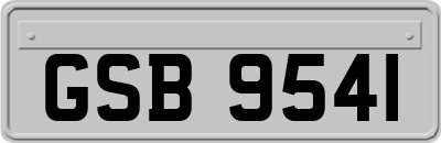 GSB9541