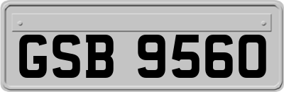 GSB9560