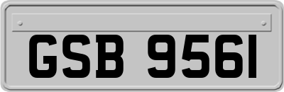 GSB9561