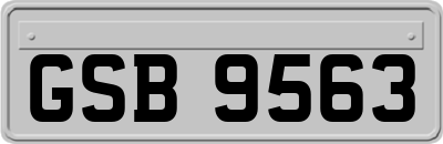 GSB9563