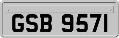 GSB9571