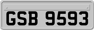 GSB9593