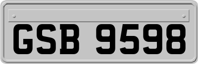 GSB9598