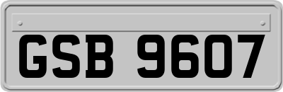 GSB9607